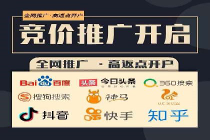 关键词竞价排名策略案例分析